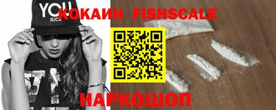 дмт Кингисепп