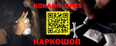 дмт Кингисепп