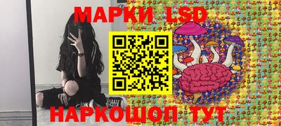 дмт Кингисепп