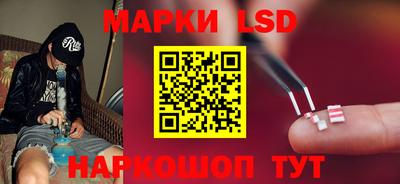 дмт Кингисепп