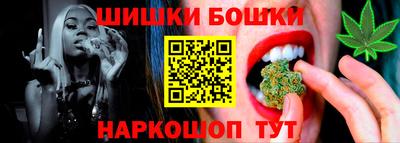дмт Кингисепп