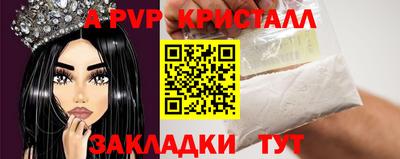 дмт Кингисепп