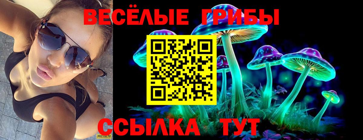 Галлюциногенные грибы Cubensis Крымск