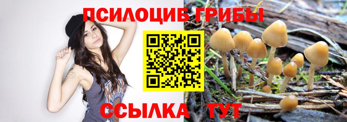 Крымск  Псилоцибиновые грибы прущие грибы  Вход с VPN 